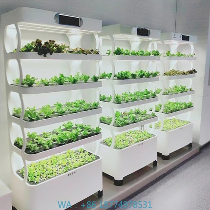 Diy Automation - Hydroponisches automatisches Wachstumssystem, intelligentes hydroponisches Wachstumssystem,